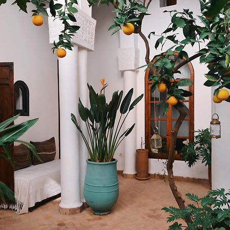 Nosade Venue Bed & Breakfast Marrakesh Eksteriør bilde