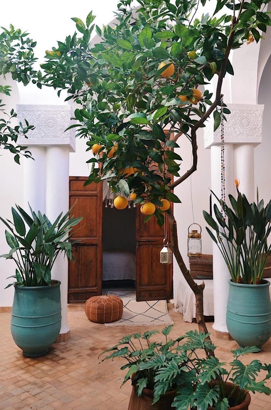 Nosade Venue Bed & Breakfast Marrakesh Eksteriør bilde