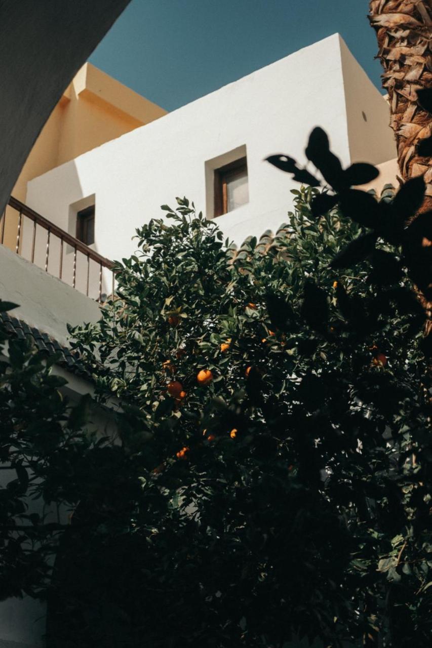 Nosade Venue Bed & Breakfast Marrakesh Eksteriør bilde